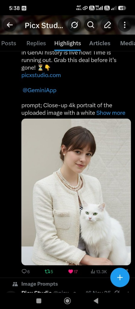 Twitter Cat 13.3K Impressions